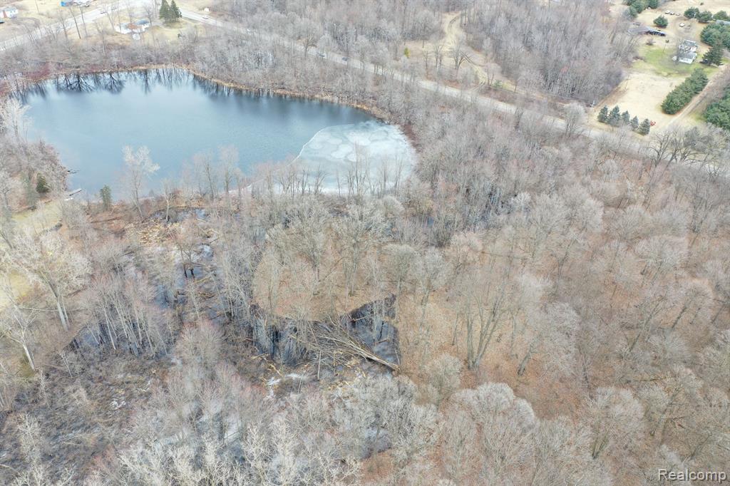 0 North Wilder Road Lapeer, MI 48446 - Photo 15 of 17