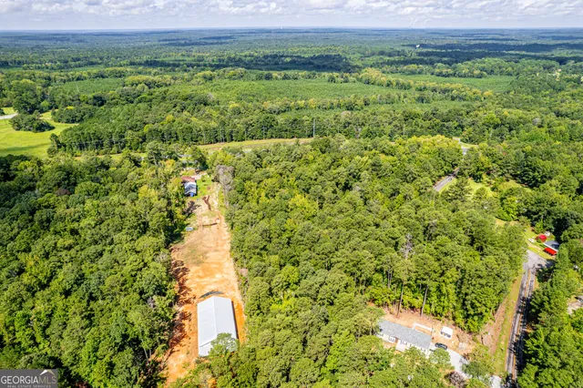 $90,000 | 0 Braswell Lake Road, Gray, GA 31032