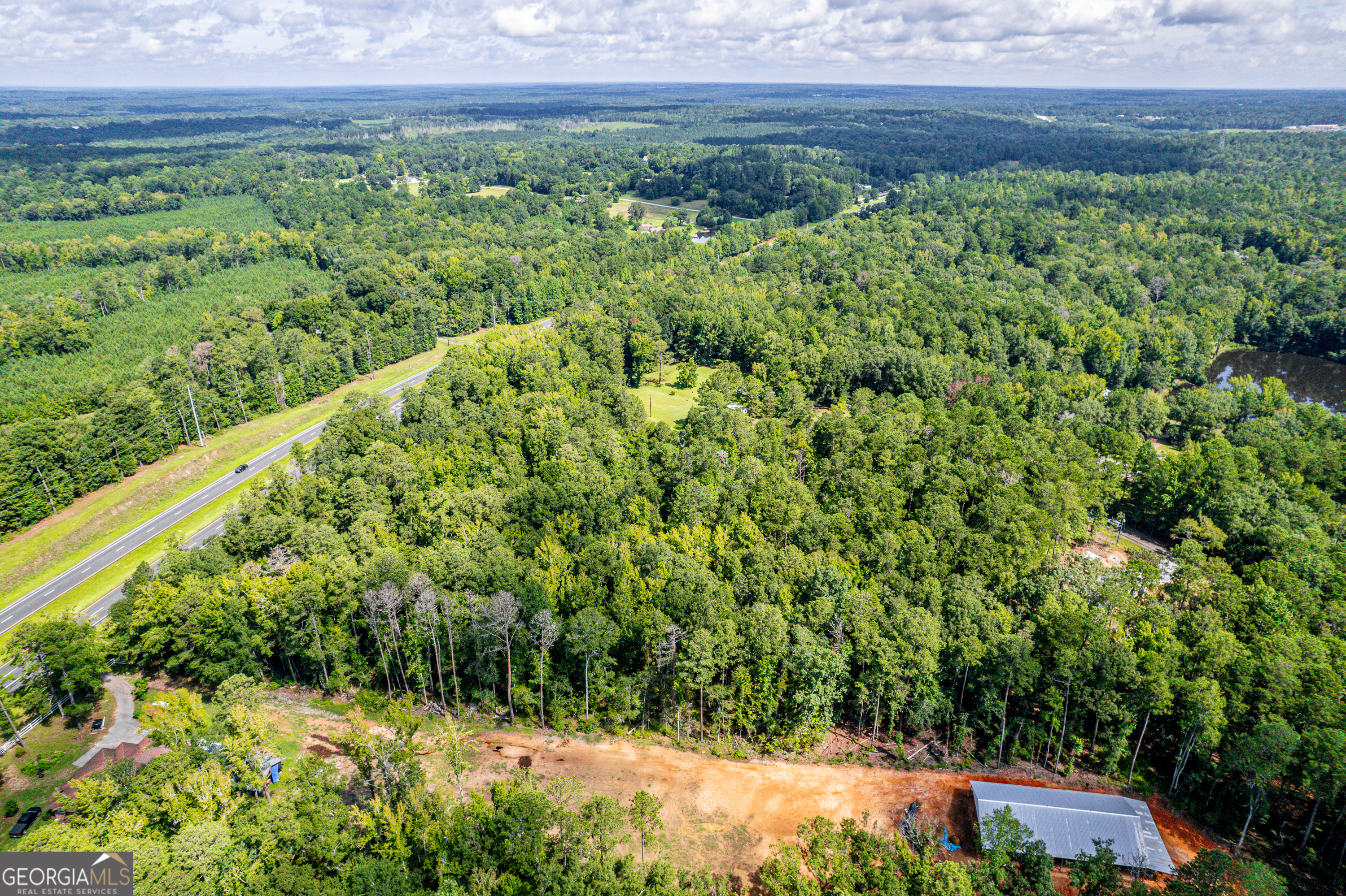 0 Braswell Lake Road Gray, GA 31032 - Photo 6 of 15 a view of a yard with plants and large trees
