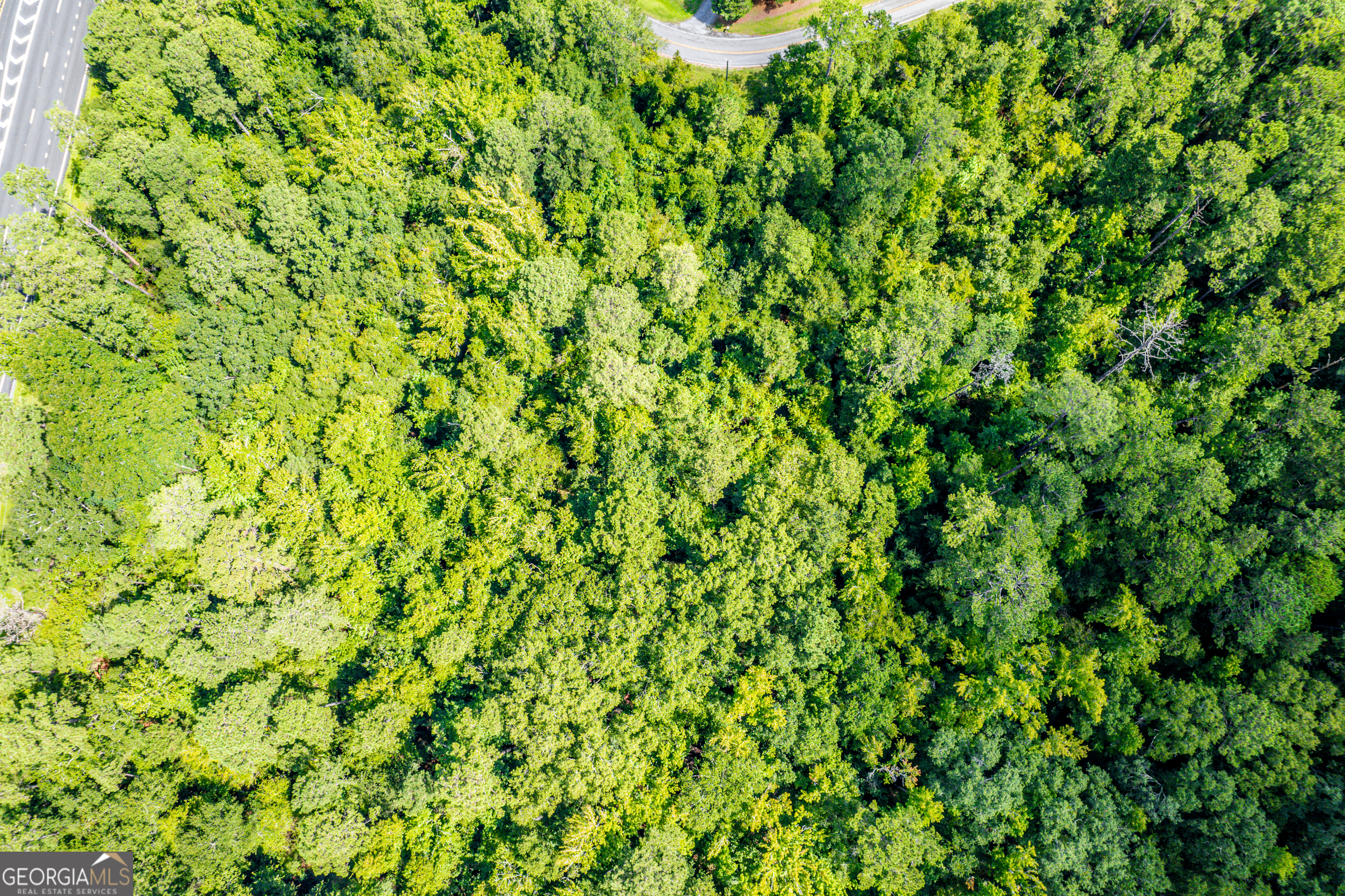 0 Braswell Lake Road Gray, GA 31032 - Photo 9 of 15 a view of a lush green field