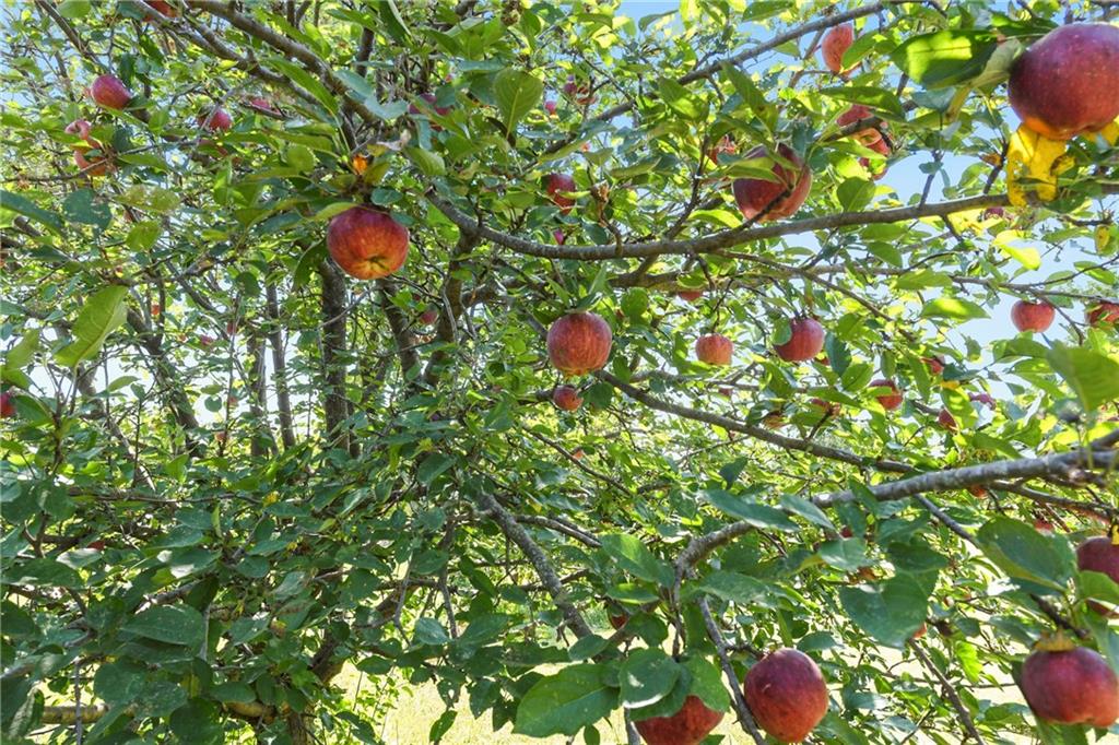 23338 Kissinger Road Leavenworth, KS 66048 - Photo 80 of 89