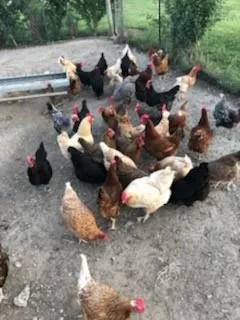 $895,000 | 23338 Kissinger Road, Leavenworth, KS 66048