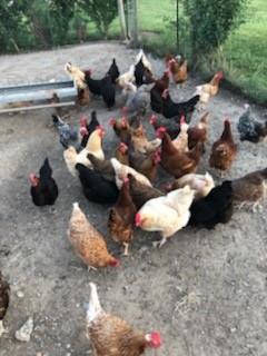 23338 Kissinger Road Leavenworth, KS 66048 - Photo 86 of 89