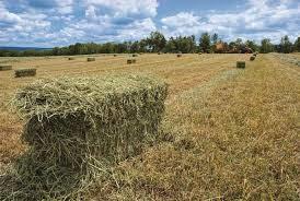 23338 Kissinger Road Leavenworth, KS 66048 - Photo 88 of 89