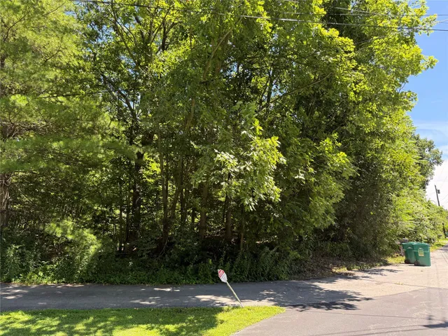 a view of a street with a tree