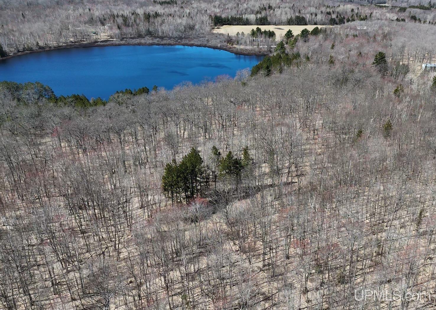 Tbd75 South Tear Lake Road Hancock, MI 49931 - Photo 5 of 14