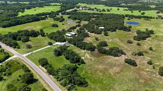 a view of a garden with a street