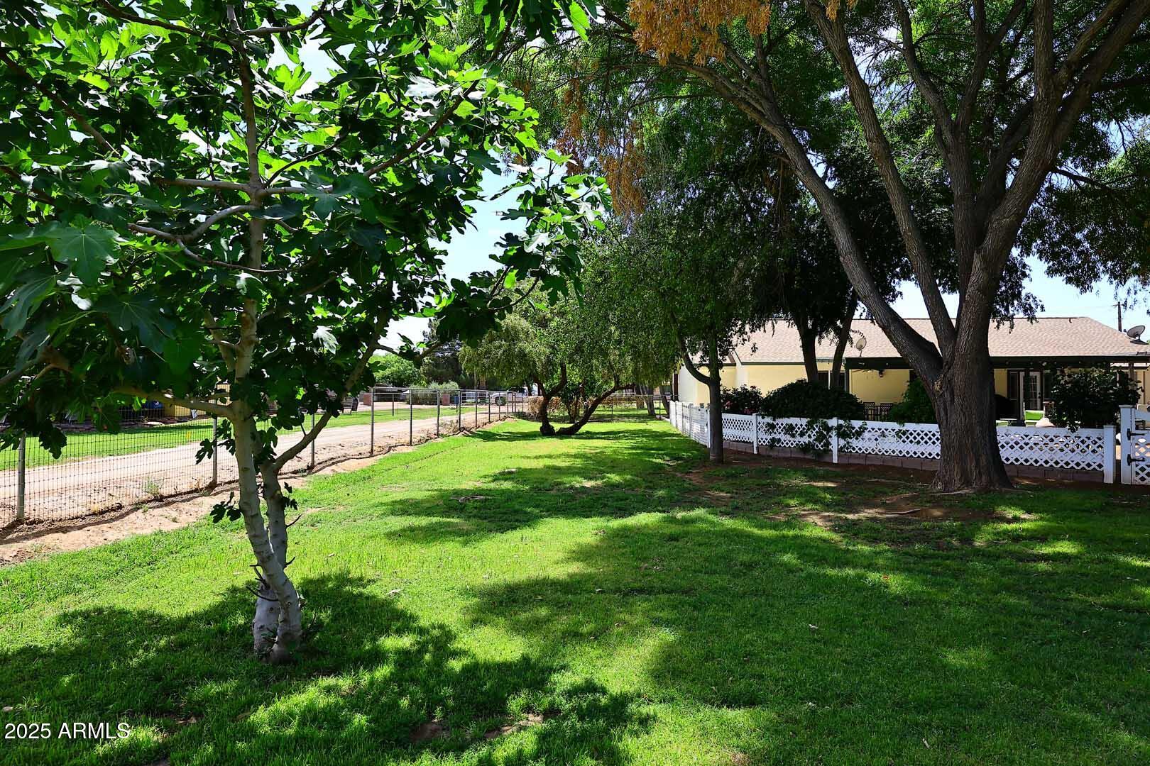 17730 East Brooks Farm Road Gilbert, AZ 85298 - Photo 59 of 83 Rear Yard