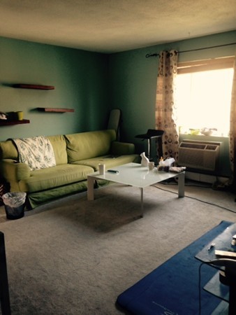 76 Bryon Road, Unit 5 Chestnut Hill, MA 02467 - Photo 6 of 10 a living room with furniture and a large window