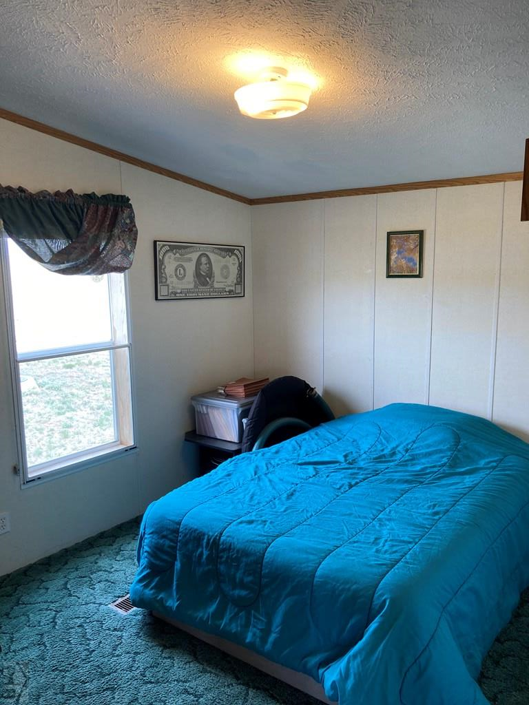 690 Bennett Road Rye, CO 81069 - Photo 16 of 25