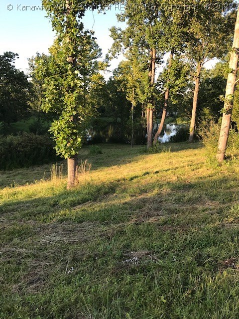 10987 Hurricane Creek Road Winfield, WV 25213 - Photo 19 of 22 Gallery Image 19