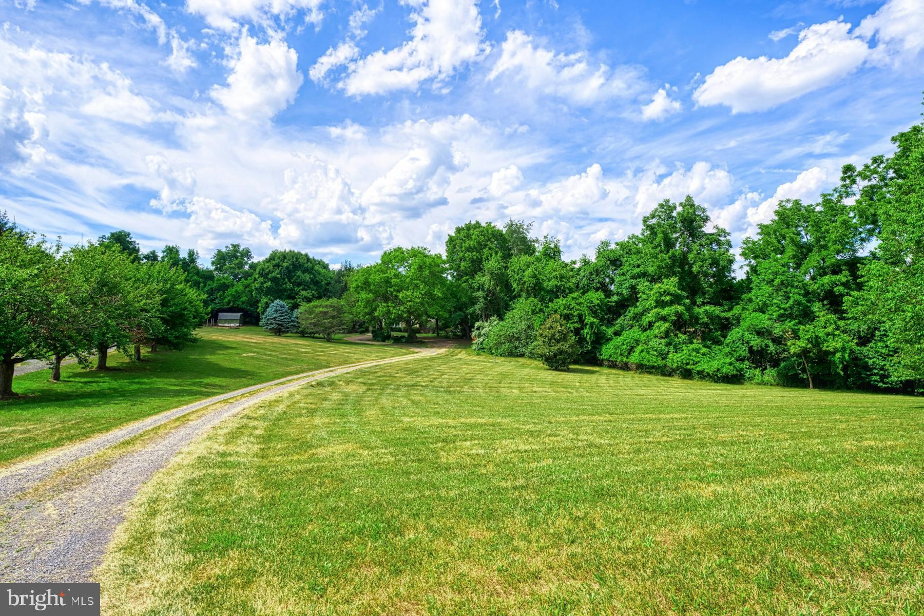 23453 Sally Mill Road Middleburg, VA 20117 - Photo 2 of 49