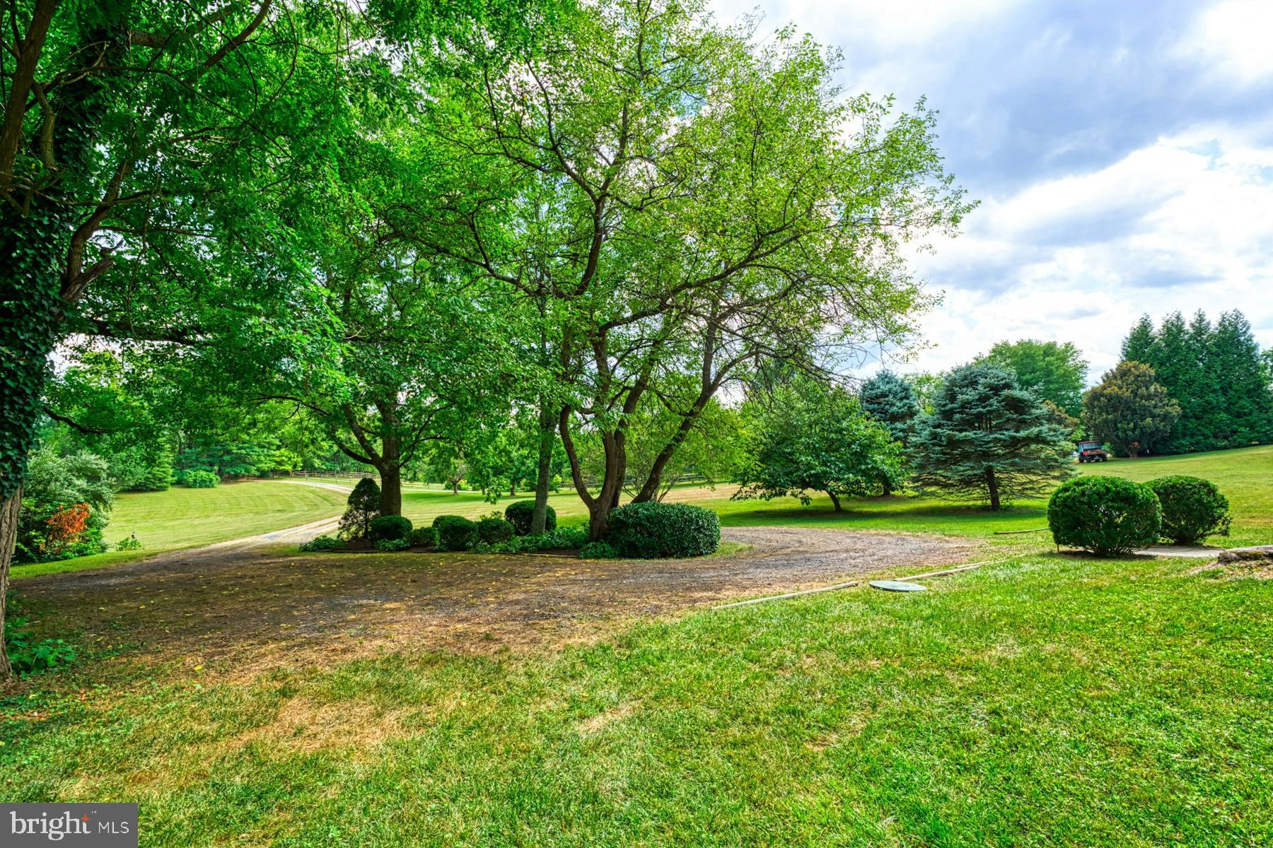 23453 Sally Mill Road Middleburg, VA 20117 - Photo 5 of 49