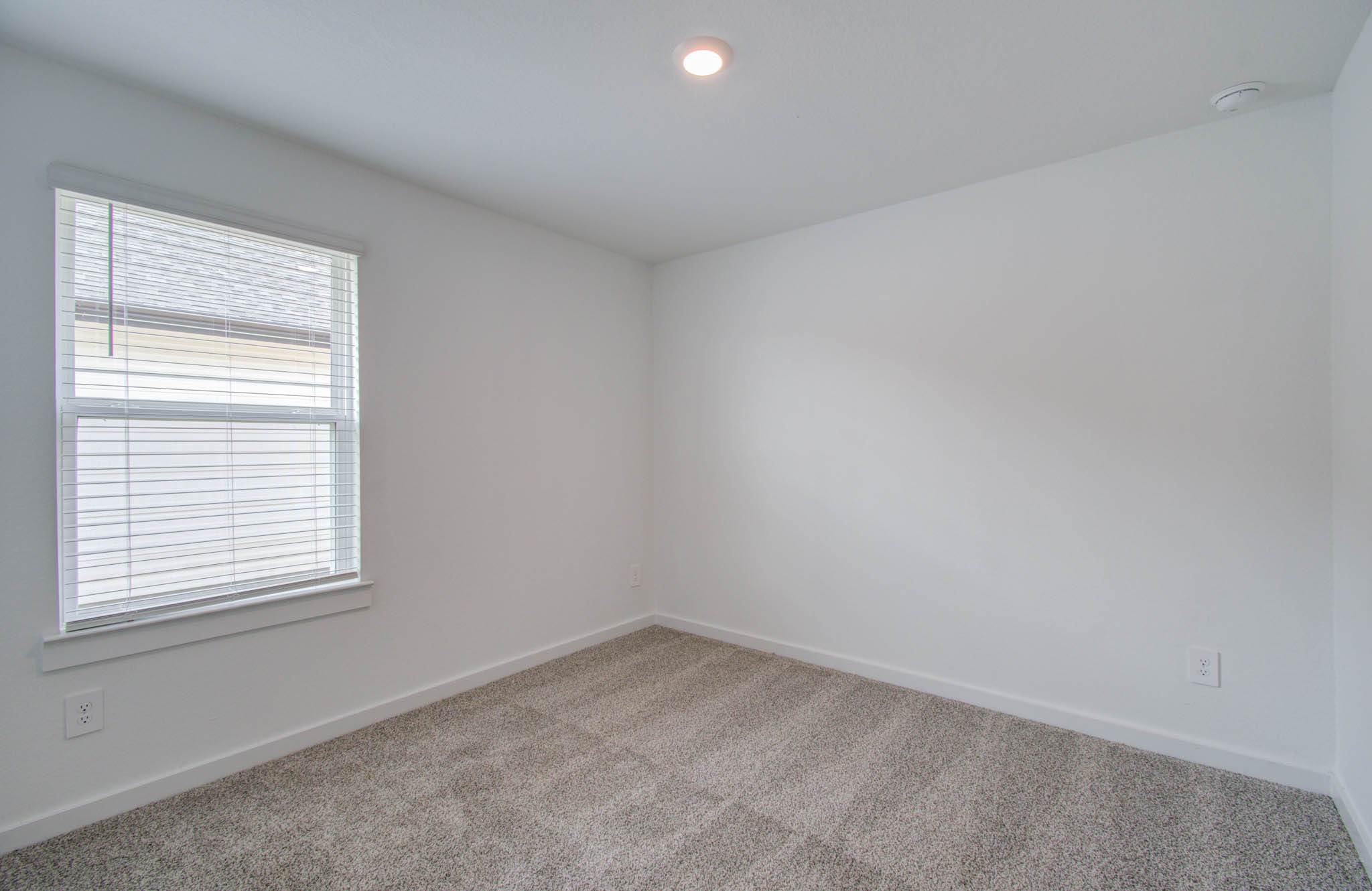 8922 Colicroot Drive Rosharon, TX 77583 - Photo 5 of 31