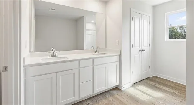 a bathroom with a sink and a mirror