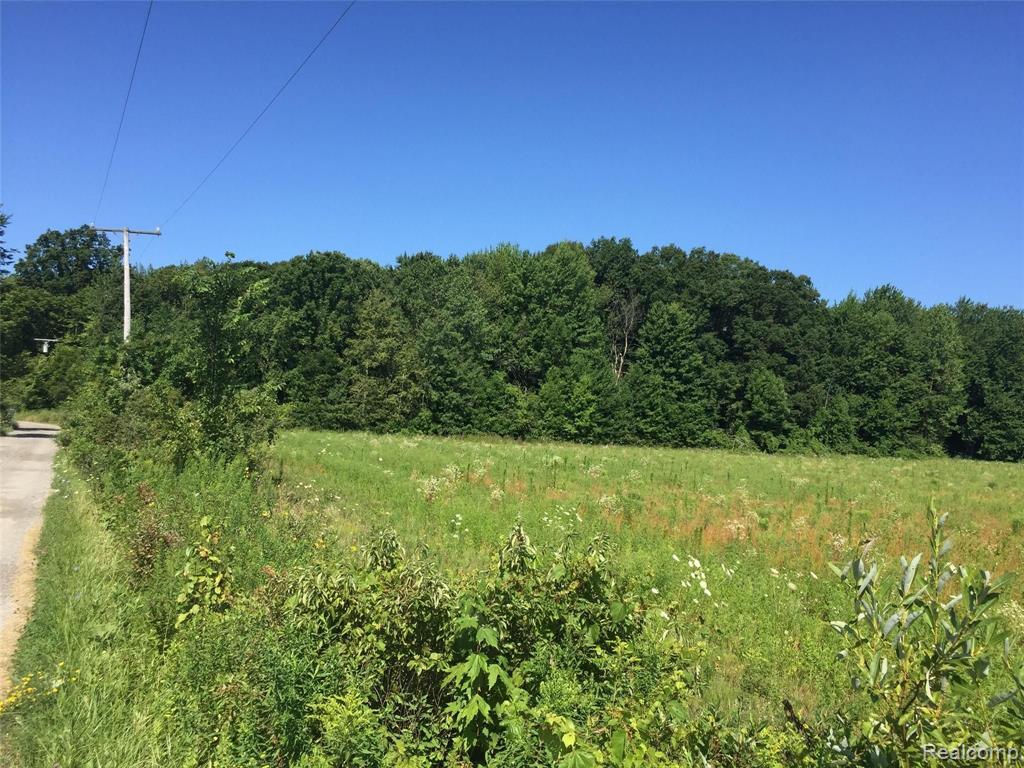 Tbd Cribbins Road Avoca, MI 48006 - Photo 2 of 5