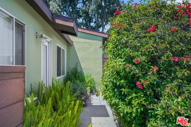 a flower plants in front of a house