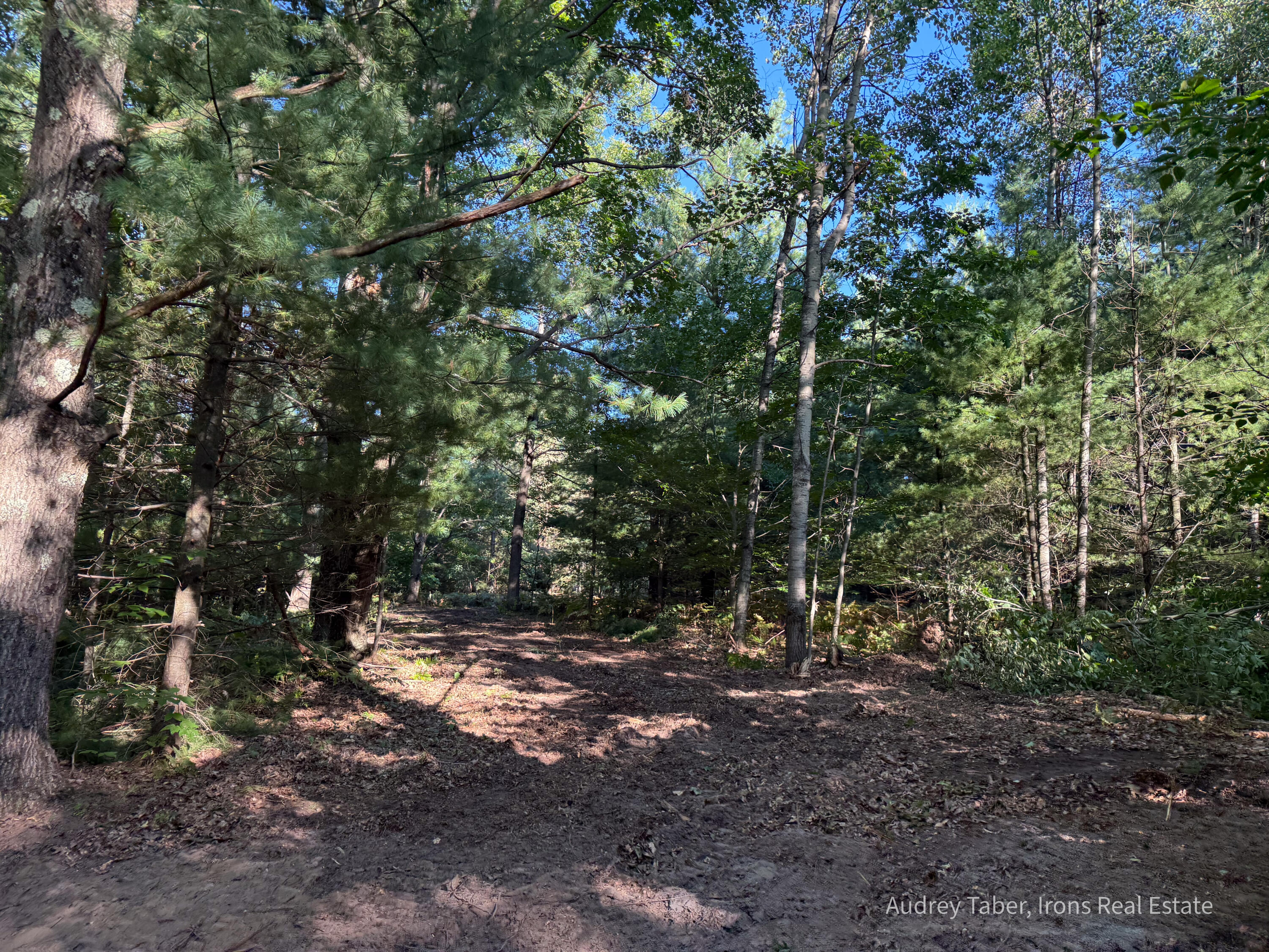 1-5 Clements Road Kaleva, MI 49645 - Photo 4 of 61 ClementsRd-05
