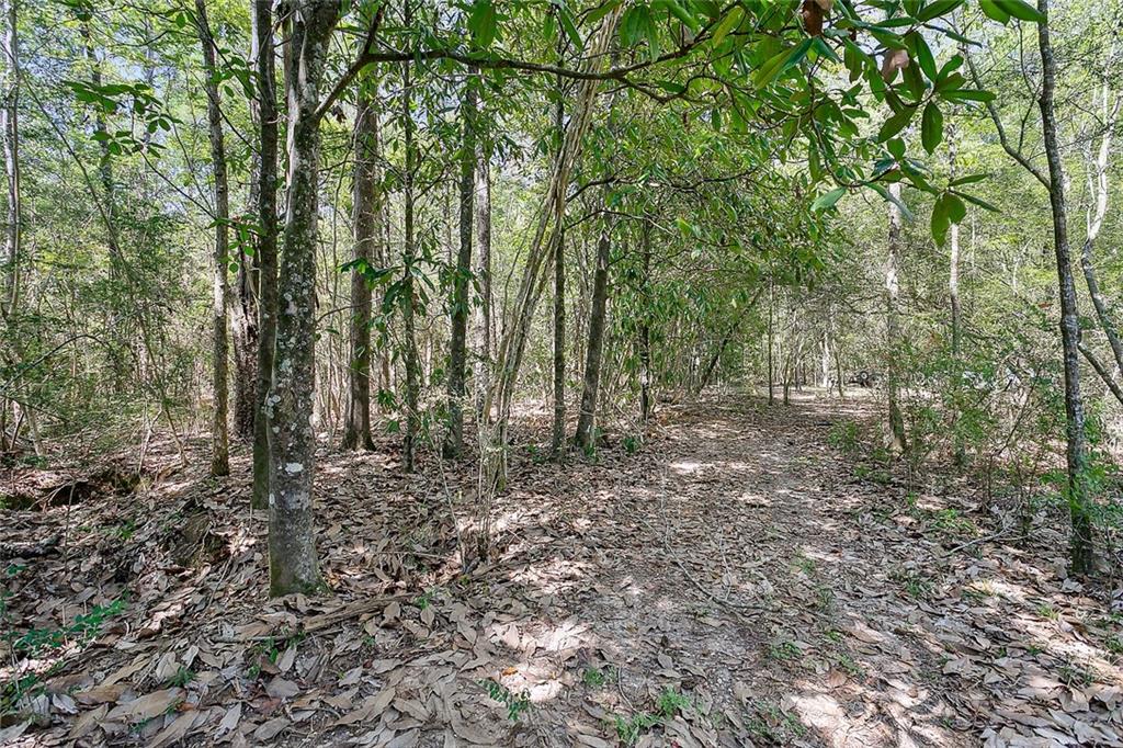 79462 Keating Road Covington, LA 70435 - Photo 24 of 30