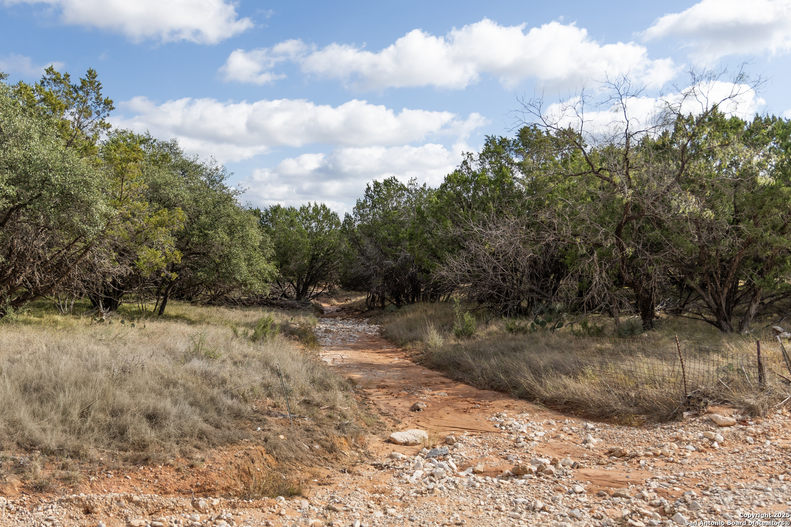 1318 Kc 3151 Junction, TX 76849 - Photo 19 of 25 a view of a yard with a tree