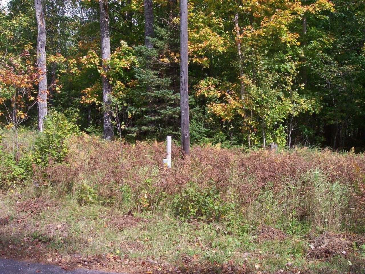 On Palmer Road, Unit LOT 1 Presque Isle, WI 54557 - Photo 6 of 11 Gallery Image 6