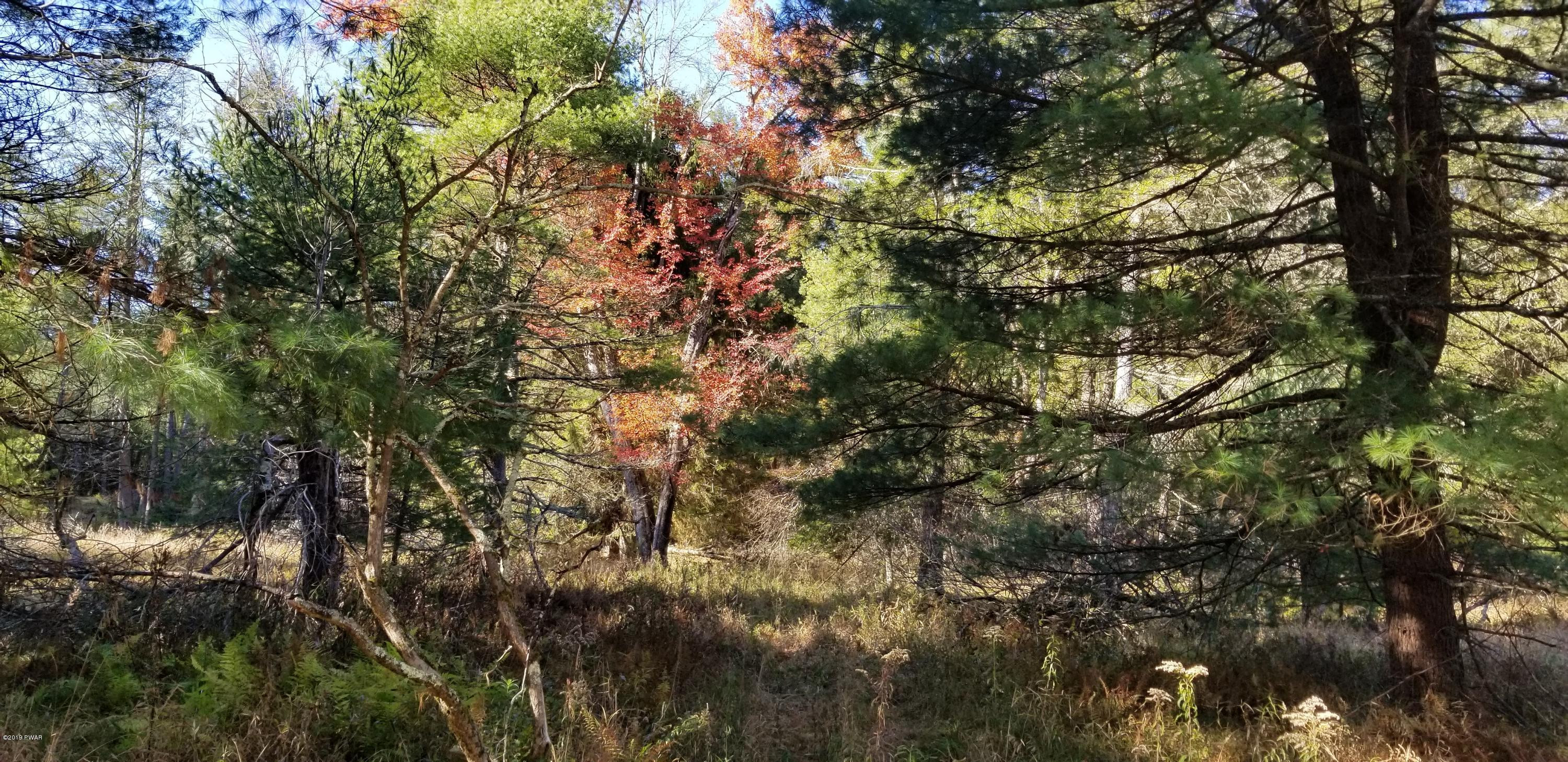 Lot #22 Swamp Pond Road Narrowsburg, NY 12764 - Photo 24 of 36