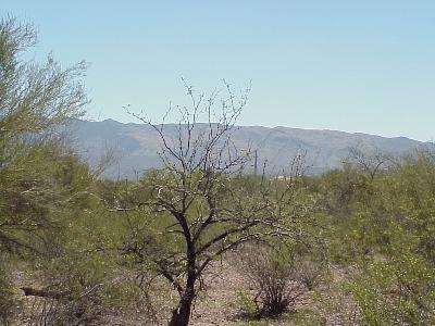 2 North Drake Place Tucson, AZ 85749 - Photo 6 of 6