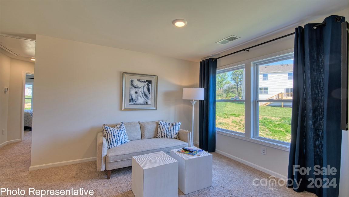 470 Wheatfield Road Fletcher, NC 28732 - Photo 28 of 48