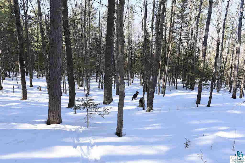 79095 Maunu Road Washburn, WI 54891 - Photo 23 of 25 Gallery Image 23