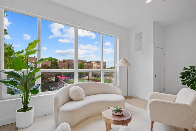 a living room with furniture and a potted plant