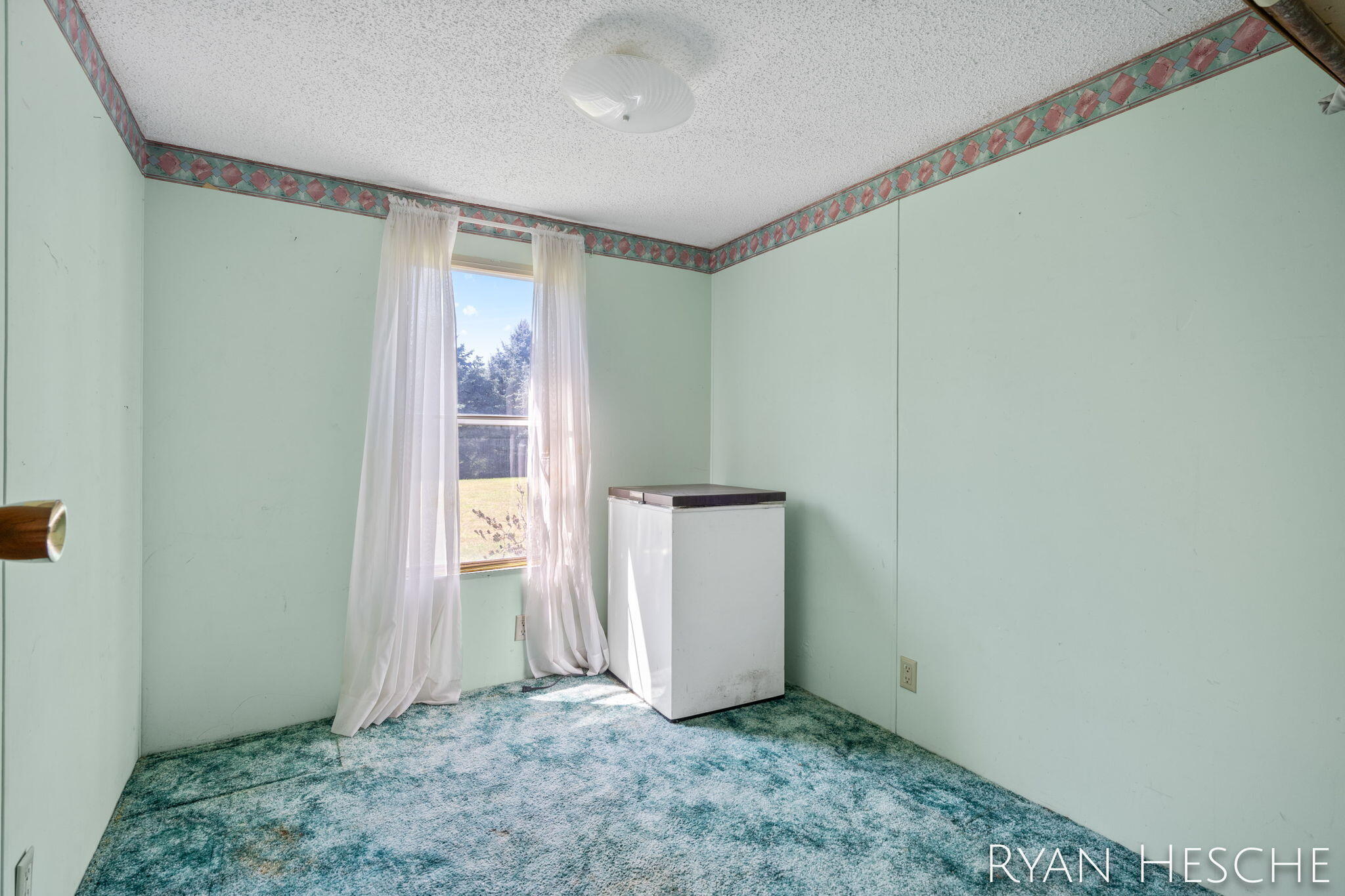 6452 McKendry Road Saranac, MI 48881 - Photo 22 of 23 6452 McKendry-11