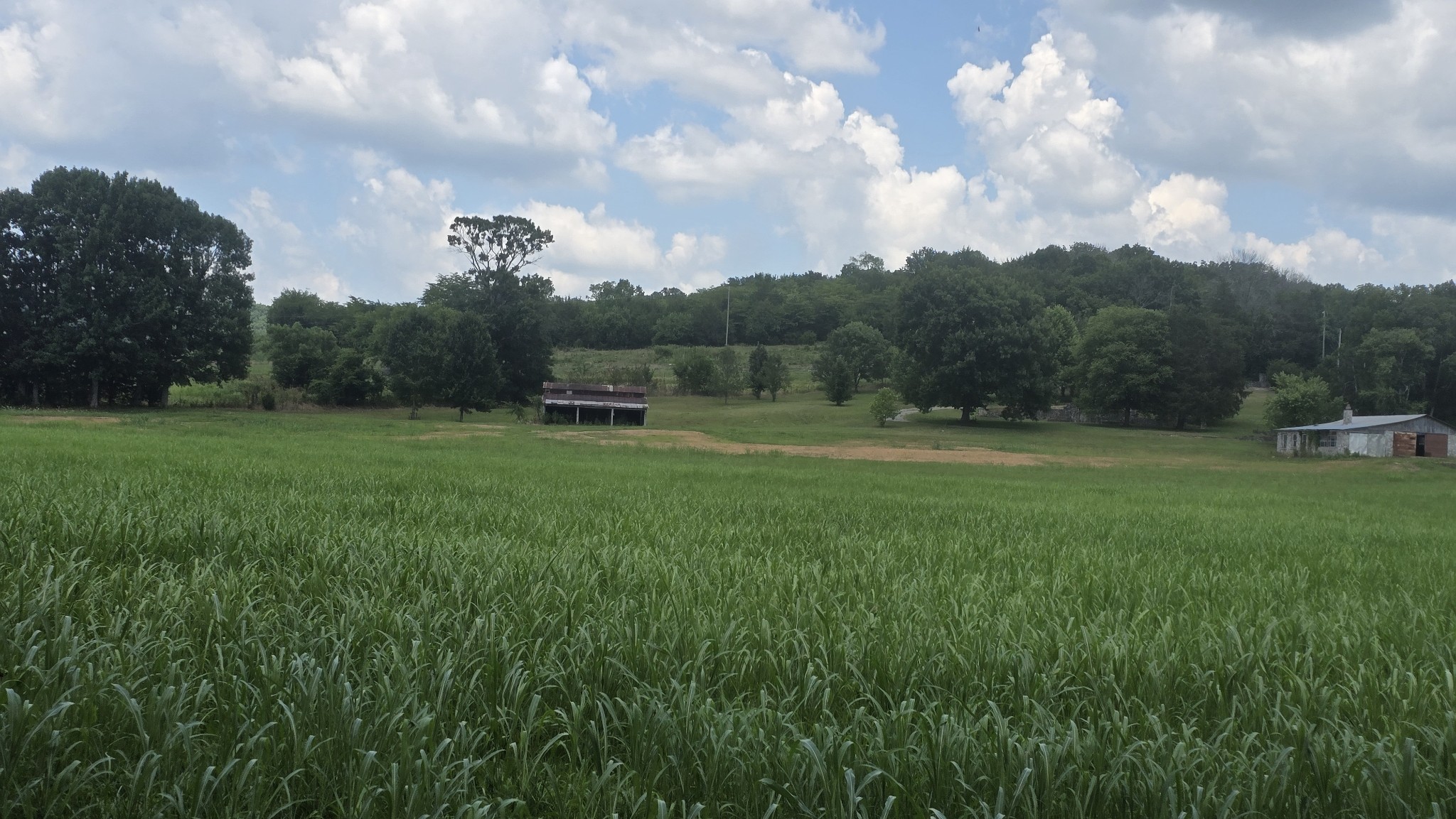 34 Short Road Petersburg, TN 37144 - Photo 17 of 24 Gallery Image 17
