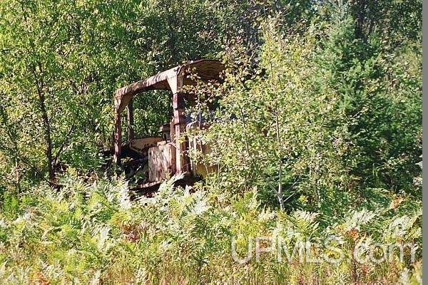 Tbd 240 Acres Off Belgium Road Manistique, MI 49854 - Photo 16 of 35