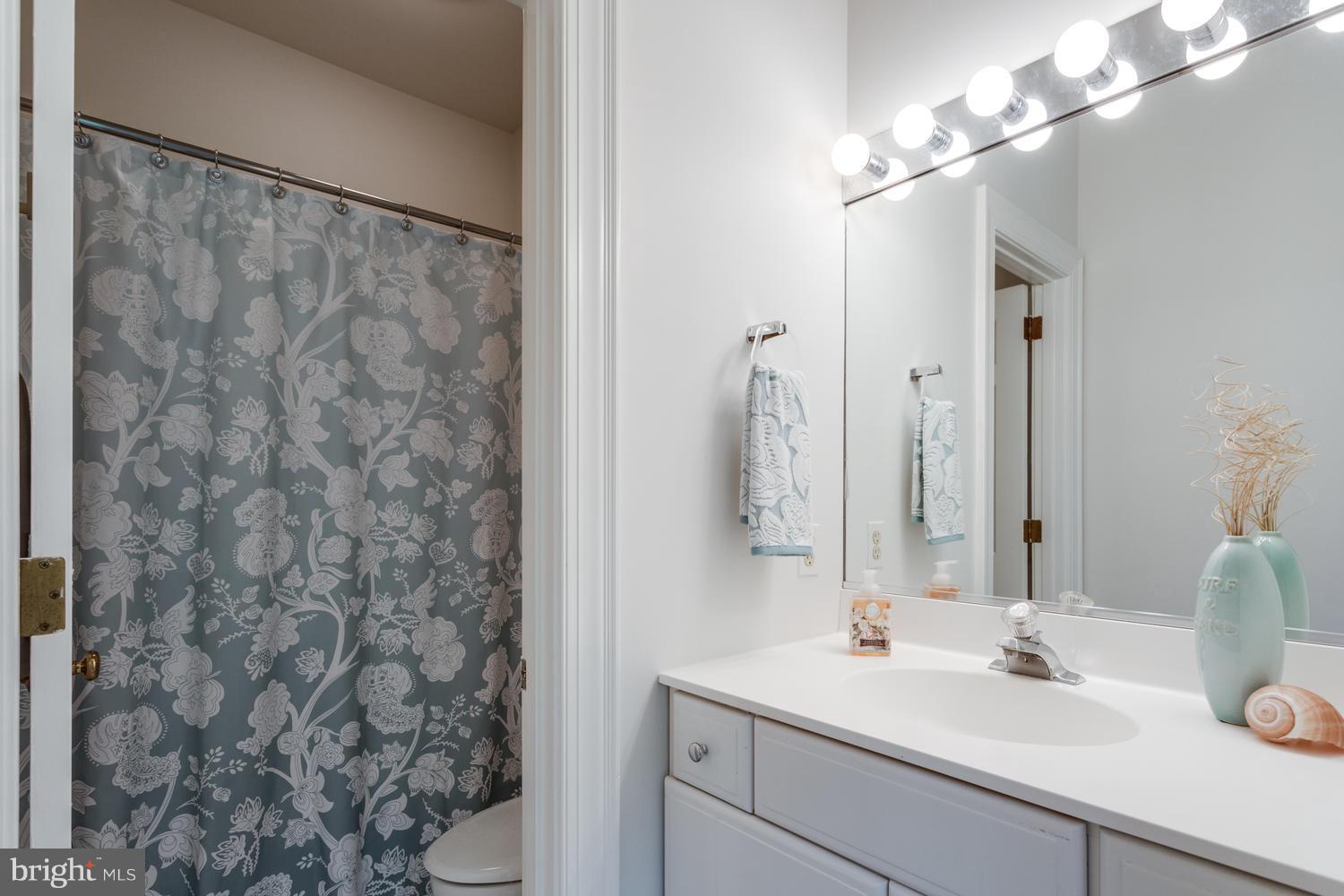 1021 Towlston Road McLean, VA 22102 - Photo 21 of 29 Bath