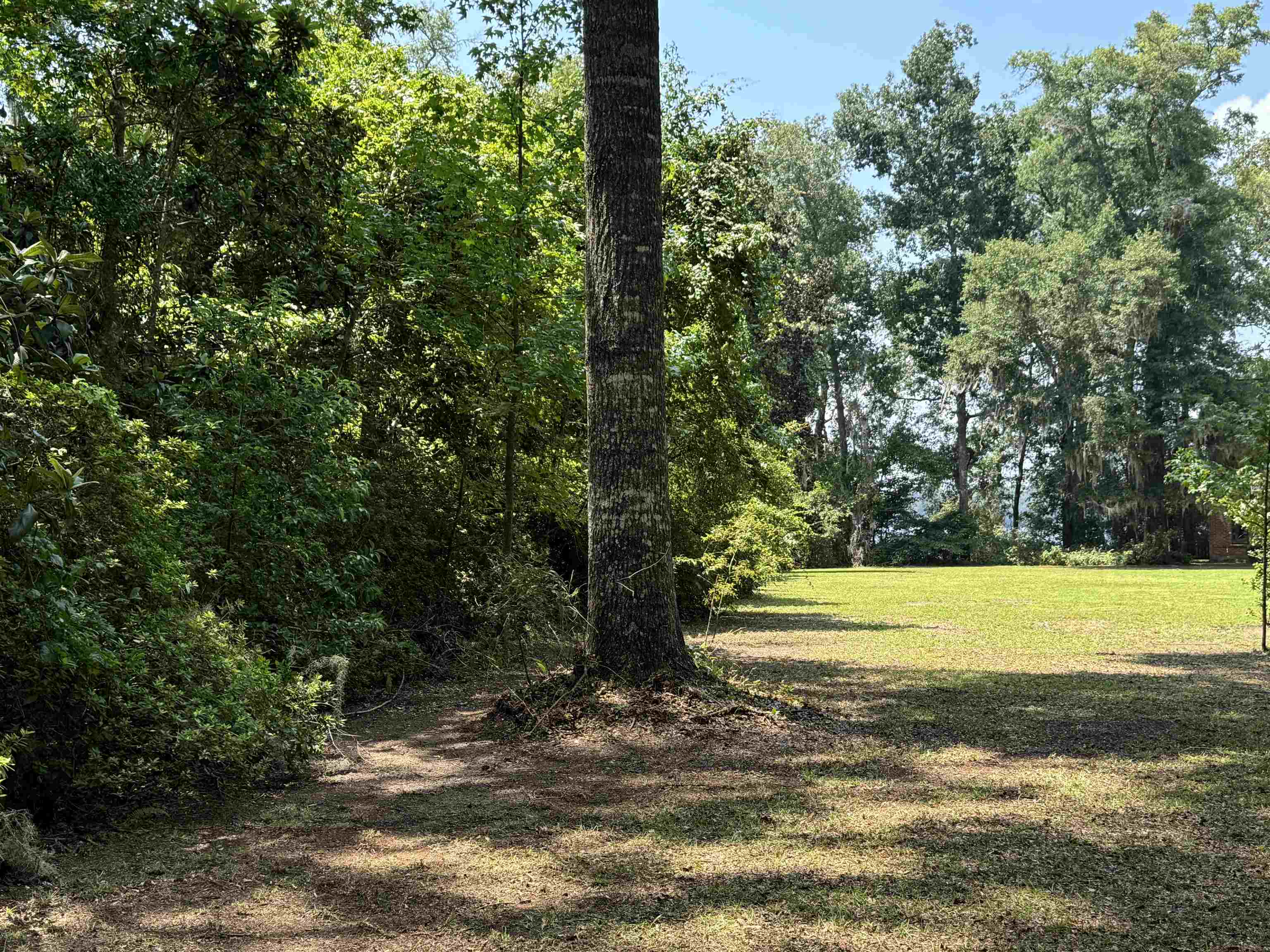 Parramore Shores Road Tallahassee, FL 32310 - Photo 26 of 31