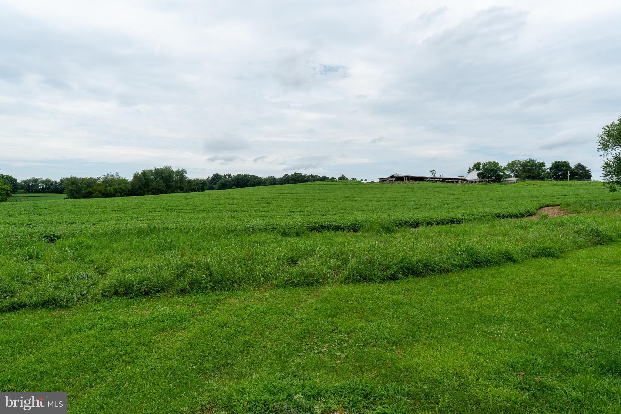 4520 Newark Road Cochranville, PA 19330 - Photo 22 of 24 a view of a field of grass and trees