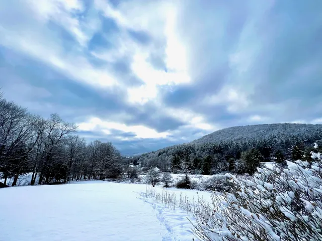 $359,000 | 257 Partridge Road, Guilford, VT 05301