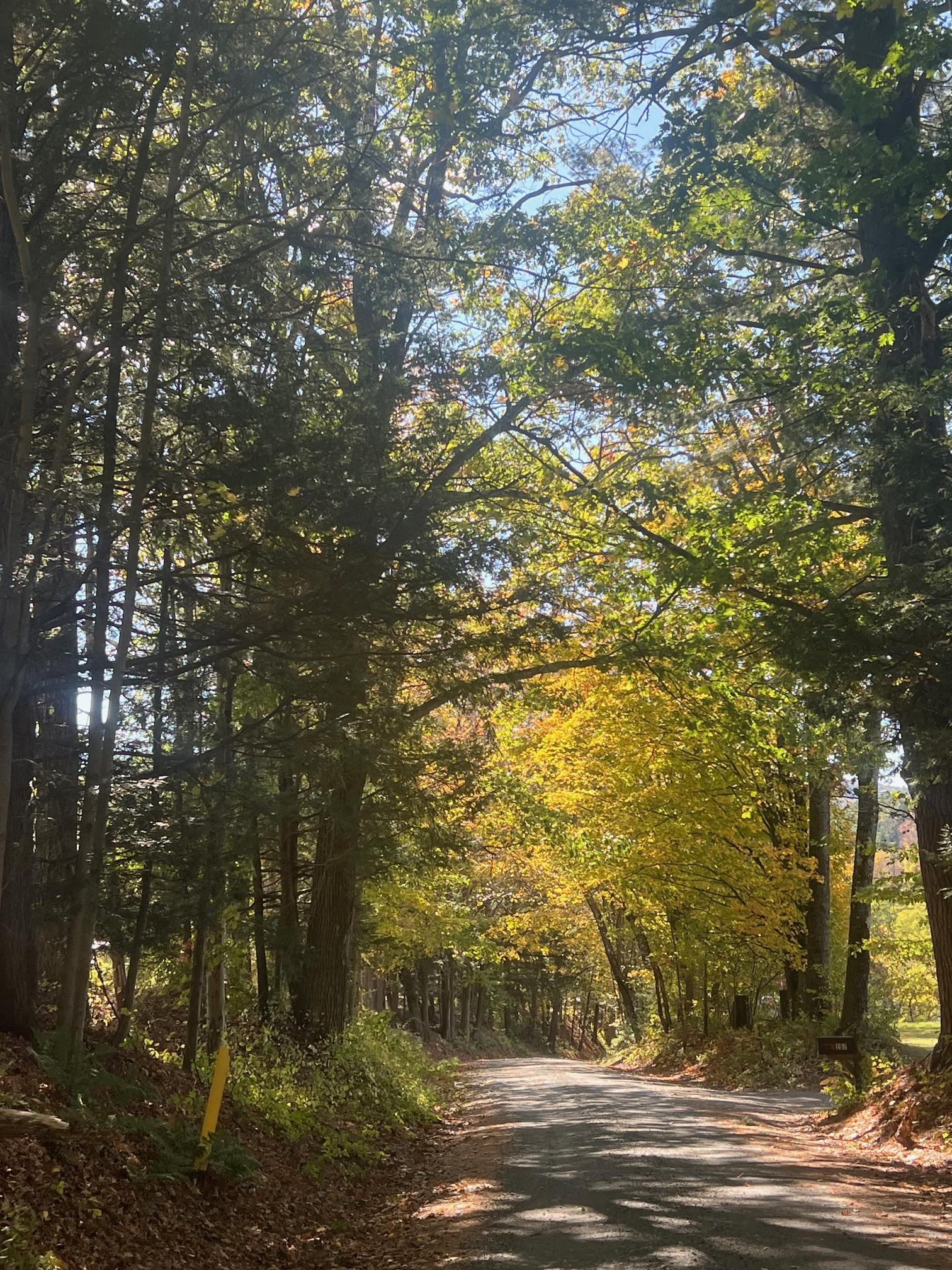 257 Partridge Road Guilford, VT 05301 - Photo 33 of 38