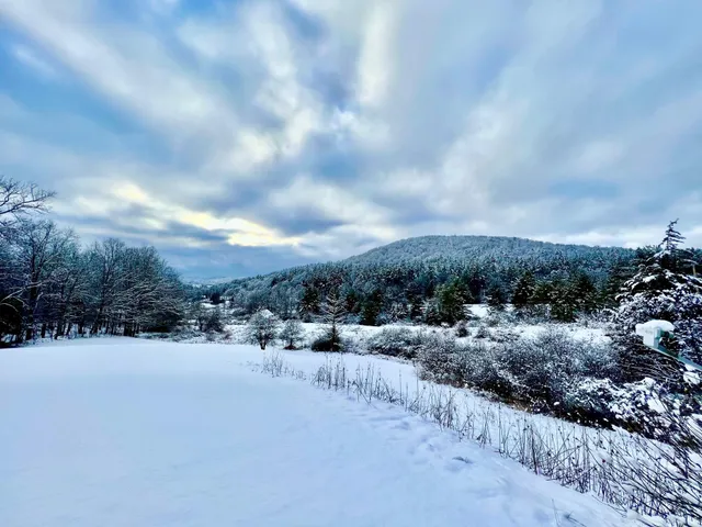 $359,000 | 257 Partridge Road, Guilford, VT 05301