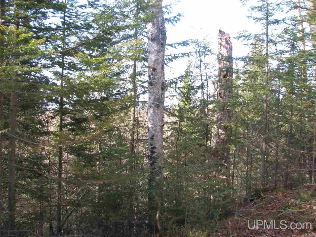 Tbd County Rd H-58 Grand Marais, MI 49839 - Photo 5 of 11