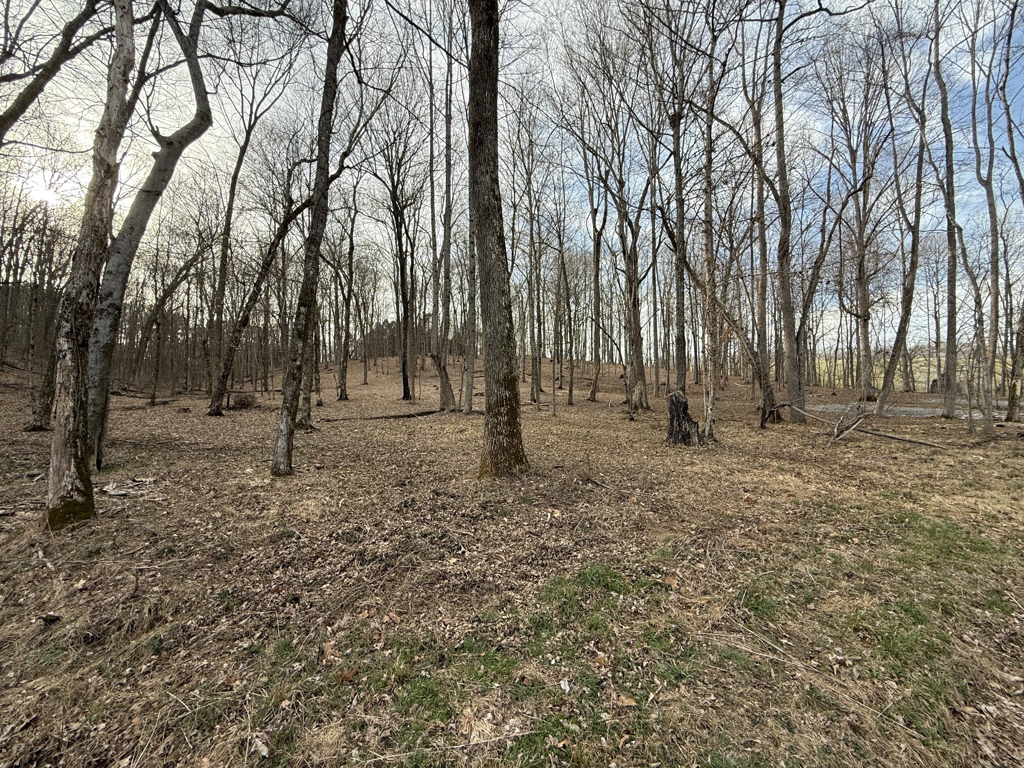 1558 Old Gallatin Road Portland, TN 37148 - Photo 1 of 4