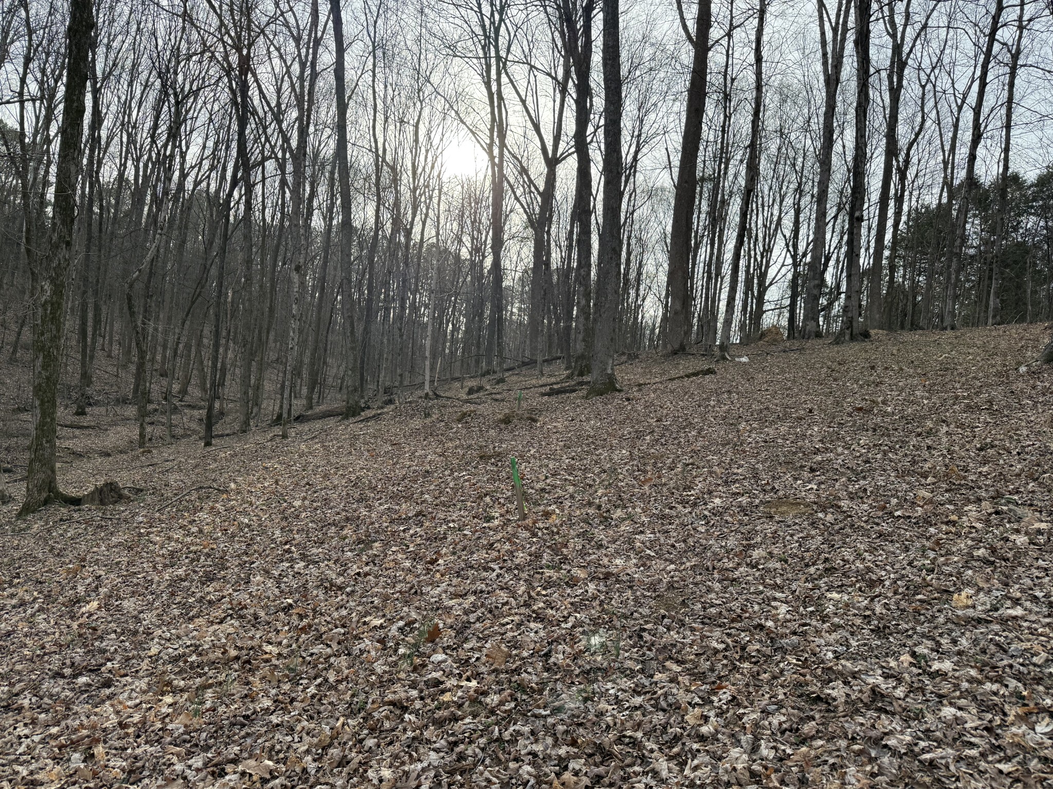 1558 Old Gallatin Road Portland, TN 37148 - Photo 3 of 4