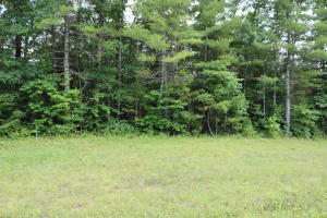 0 Hemlock Bluff Way, Unit 48 Deer Lodge, TN 37726 - Photo 1 of 7 20200703121800879568000000