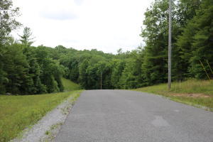 0 Hemlock Bluff Way, Unit 48 Deer Lodge, TN 37726 - Photo 2 of 7 20200703121917049131000000