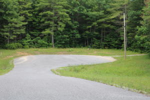 0 Hemlock Bluff Way, Unit 48 Deer Lodge, TN 37726 - Photo 3 of 7 20200703121943786288000000