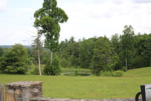 0 Hemlock Bluff Way, Unit 48 Deer Lodge, TN 37726 - Photo 4 of 7 20200703122026563435000000