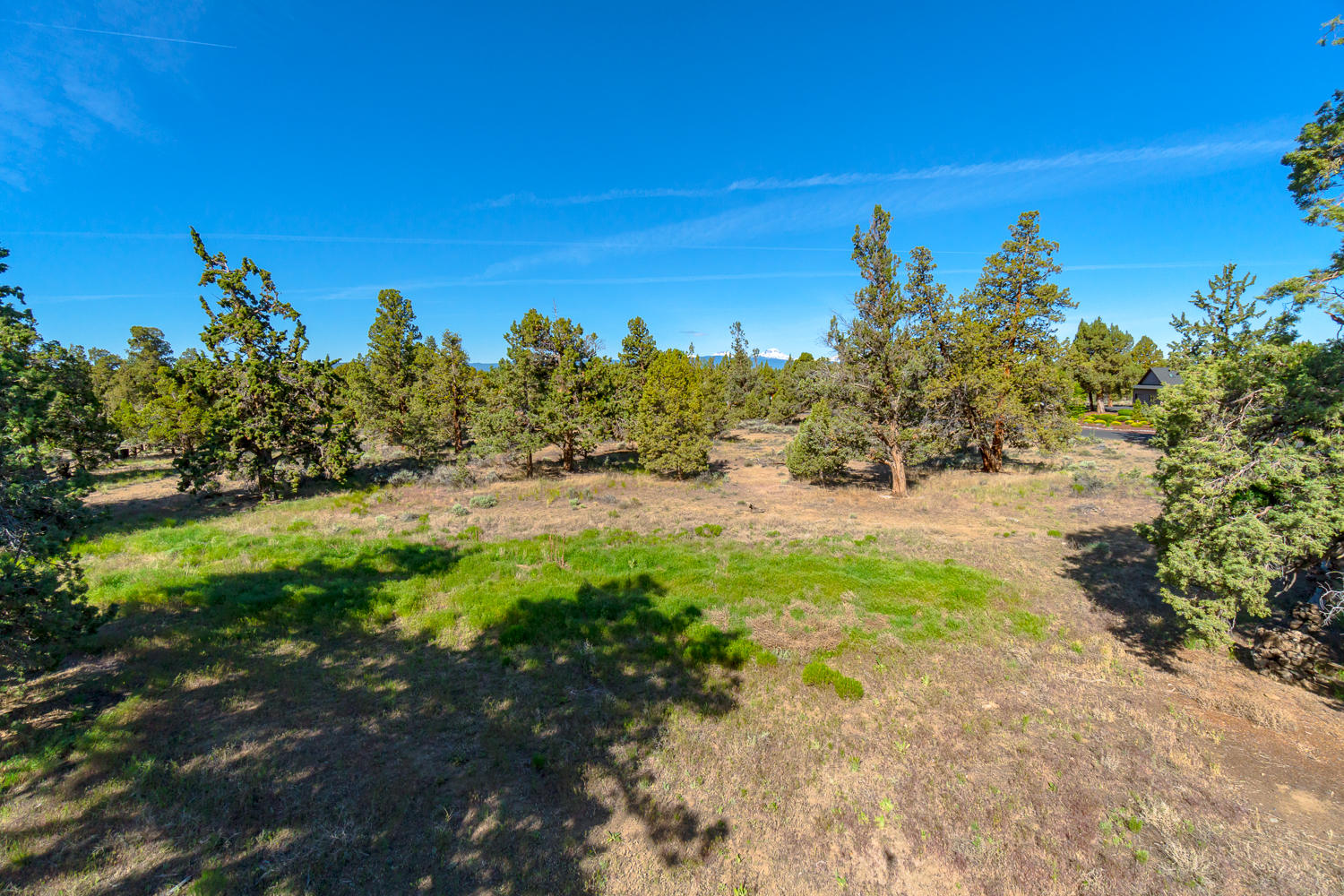 64597 McGrath Road Bend, OR 97701 - Photo 33 of 40 a view of a yard with a tree