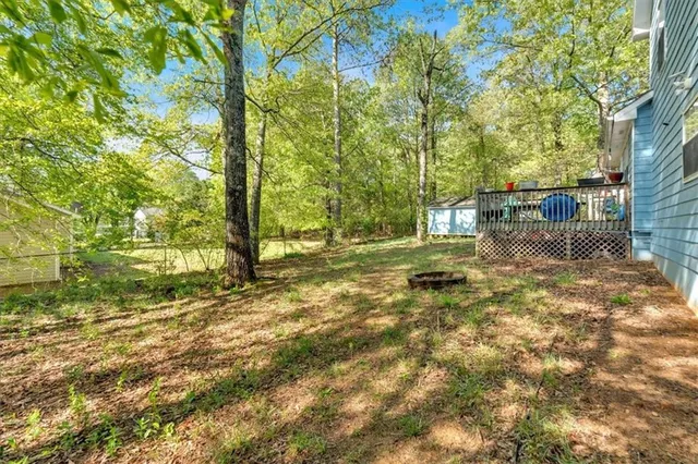 a view of a tree with a tree