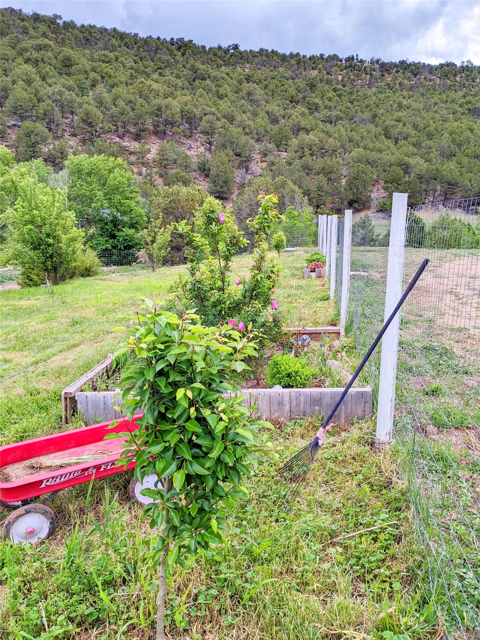 53 County Rd B44C Pecos, NM 87552 - Photo 49 of 51