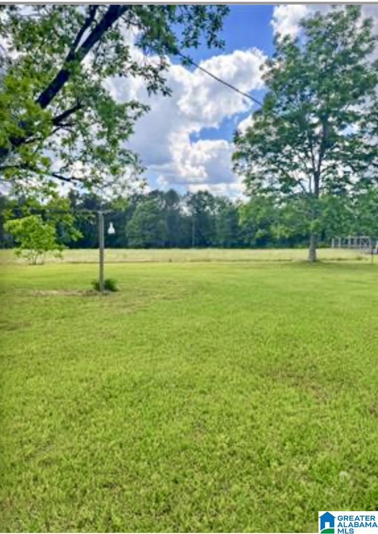 31815 Rose Hill Road Dozier, AL 36028 - Photo 18 of 46